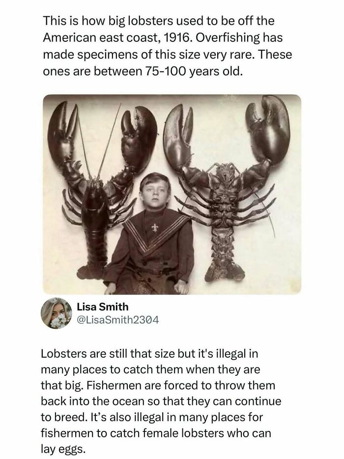 Time Spent Learning About Animals Is Never Wasted, So Here Are 73 Curiosities You Might Appreciate Time Spent Learning About Animals Is Never Wasted, So Here Are 73 Curiosities You Might Appreciate