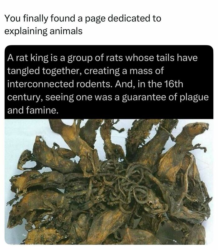 Time Spent Learning About Animals Is Never Wasted, So Here Are 73 Curiosities You Might Appreciate Time Spent Learning About Animals Is Never Wasted, So Here Are 73 Curiosities You Might Appreciate
