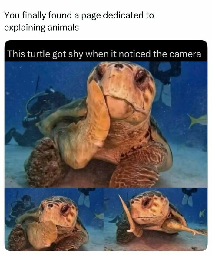 Time Spent Learning About Animals Is Never Wasted, So Here Are 73 Curiosities You Might Appreciate Time Spent Learning About Animals Is Never Wasted, So Here Are 73 Curiosities You Might Appreciate