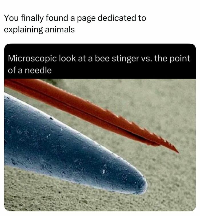 Time Spent Learning About Animals Is Never Wasted, So Here Are 73 Curiosities You Might Appreciate Time Spent Learning About Animals Is Never Wasted, So Here Are 73 Curiosities You Might Appreciate