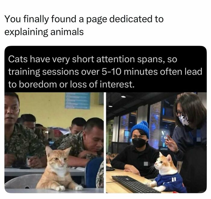 Time Spent Learning About Animals Is Never Wasted, So Here Are 73 Curiosities You Might Appreciate Time Spent Learning About Animals Is Never Wasted, So Here Are 73 Curiosities You Might Appreciate