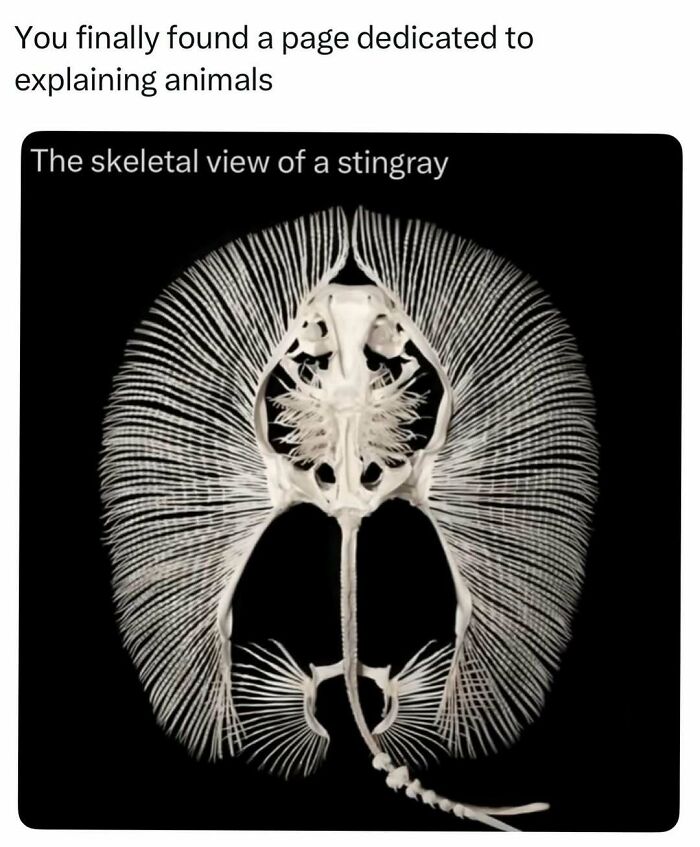 Time Spent Learning About Animals Is Never Wasted, So Here Are 73 Curiosities You Might Appreciate Time Spent Learning About Animals Is Never Wasted, So Here Are 73 Curiosities You Might Appreciate