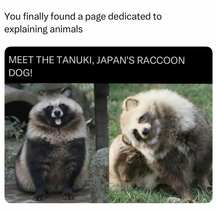 Time Spent Learning About Animals Is Never Wasted, So Here Are 73 Curiosities You Might Appreciate Time Spent Learning About Animals Is Never Wasted, So Here Are 73 Curiosities You Might Appreciate