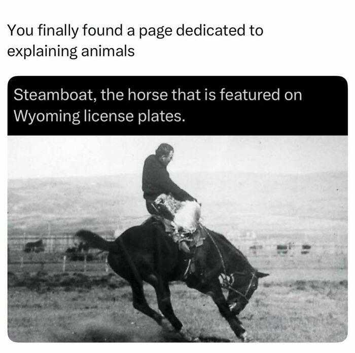 Time Spent Learning About Animals Is Never Wasted, So Here Are 73 Curiosities You Might Appreciate Time Spent Learning About Animals Is Never Wasted, So Here Are 73 Curiosities You Might Appreciate