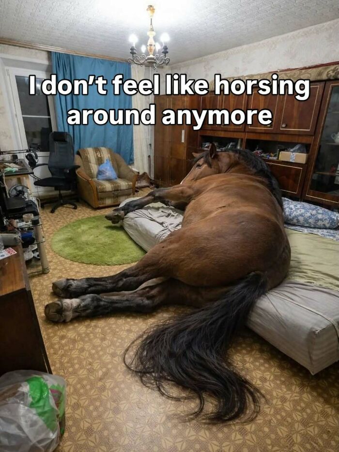 57 Pics That May Crack You Up If Your Sense Of Humor Is Funny And Unhinged Screenshots (New Pics) 57 Pics That May Crack You Up If Your Sense Of Humor Is Funny And Unhinged Screenshots (New Pics)