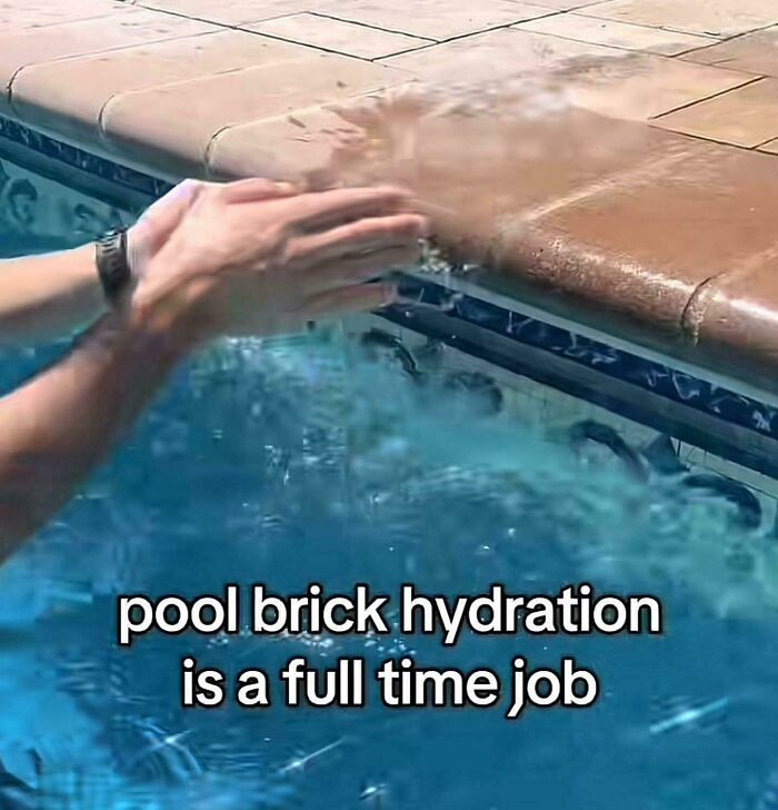 57 Pics That May Crack You Up If Your Sense Of Humor Is Funny And Unhinged Screenshots (New Pics) 57 Pics That May Crack You Up If Your Sense Of Humor Is Funny And Unhinged Screenshots (New Pics)