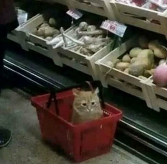 73 Cursed Images That Will Probably Refuse To Leave Your Mind For A While (New Pics) 73 Cursed Images That Will Probably Refuse To Leave Your Mind For A While (New Pics)