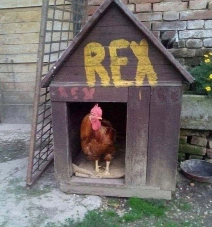 73 Cursed Images That Will Probably Refuse To Leave Your Mind For A While (New Pics) 73 Cursed Images That Will Probably Refuse To Leave Your Mind For A While (New Pics)