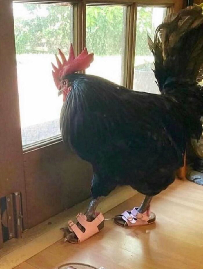 73 Cursed Images That Will Probably Refuse To Leave Your Mind For A While (New Pics) 73 Cursed Images That Will Probably Refuse To Leave Your Mind For A While (New Pics)