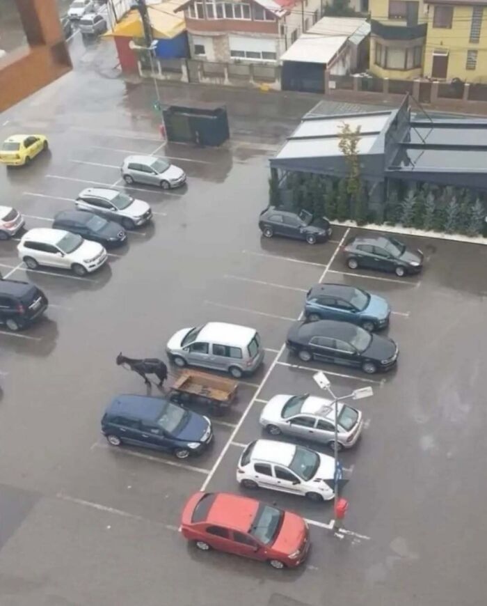 73 Cursed Images That Will Probably Refuse To Leave Your Mind For A While (New Pics) 73 Cursed Images That Will Probably Refuse To Leave Your Mind For A While (New Pics)