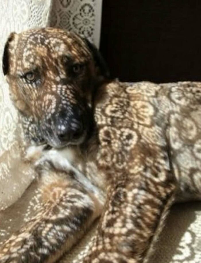73 Cursed Images That Will Probably Refuse To Leave Your Mind For A While (New Pics) 73 Cursed Images That Will Probably Refuse To Leave Your Mind For A While (New Pics)