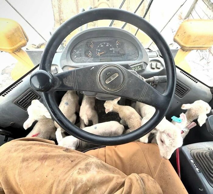 73 Cursed Images That Will Probably Refuse To Leave Your Mind For A While (New Pics) 73 Cursed Images That Will Probably Refuse To Leave Your Mind For A While (New Pics)