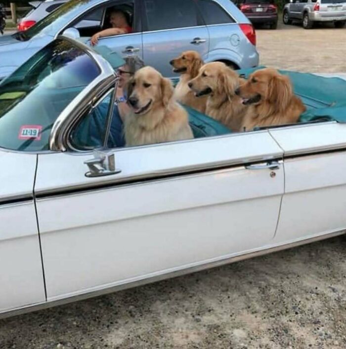 73 Cursed Images That Will Probably Refuse To Leave Your Mind For A While (New Pics) 73 Cursed Images That Will Probably Refuse To Leave Your Mind For A While (New Pics)
