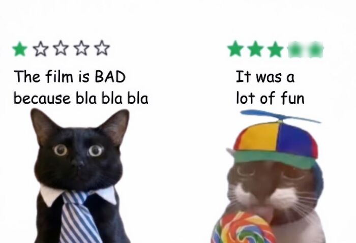50 Funny Cat Memes That Prove Life Is Better When Cats Are Being Weird