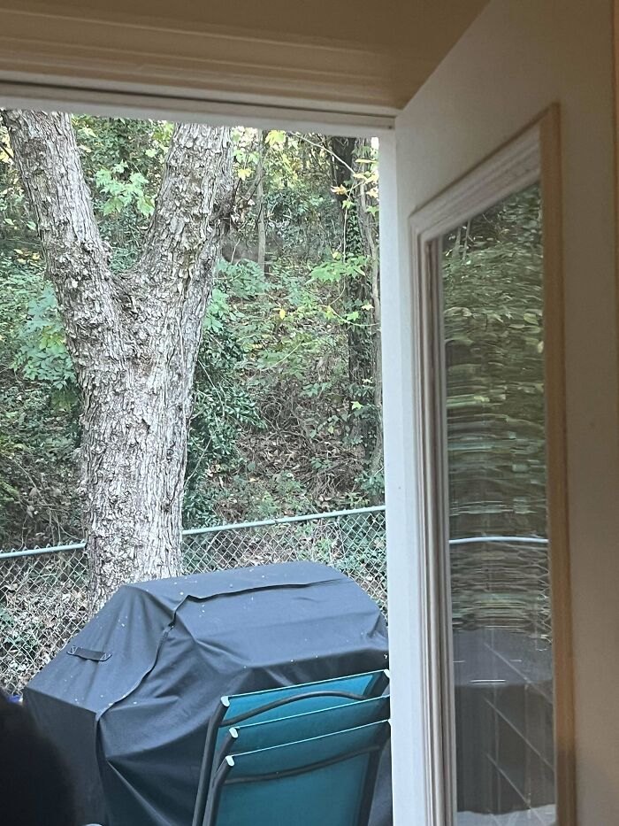 71 Amateur And Veteran Online Detectives Are Sharing Photos With Hidden Details (New Pics)