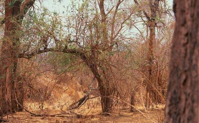 71 Amateur And Veteran Online Detectives Are Sharing Photos With Hidden Details (New Pics)