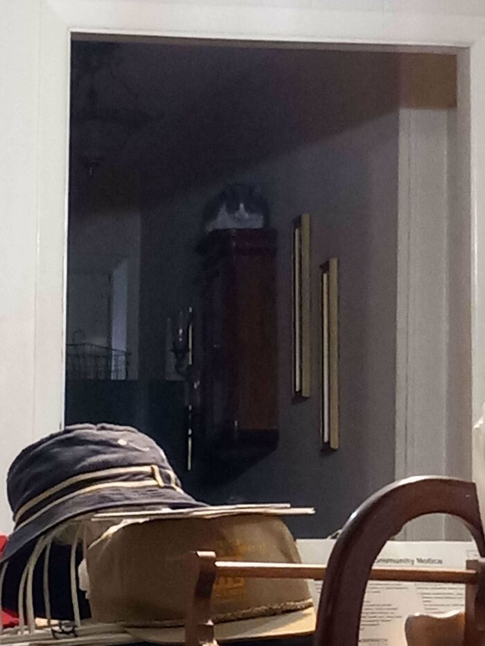 71 Amateur And Veteran Online Detectives Are Sharing Photos With Hidden Details (New Pics)