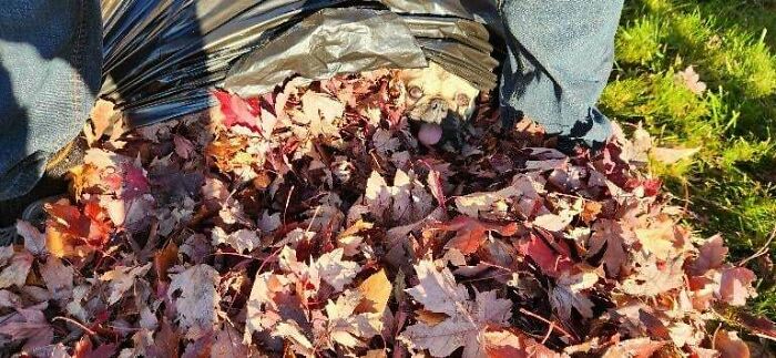 71 Amateur And Veteran Online Detectives Are Sharing Photos With Hidden Details (New Pics)
