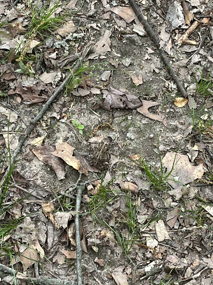 71 Amateur And Veteran Online Detectives Are Sharing Photos With Hidden Details (New Pics)