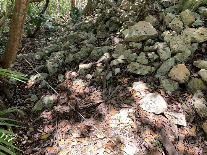 71 Amateur And Veteran Online Detectives Are Sharing Photos With Hidden Details (New Pics)