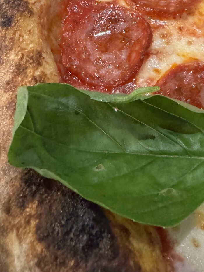71 Amateur And Veteran Online Detectives Are Sharing Photos With Hidden Details (New Pics)