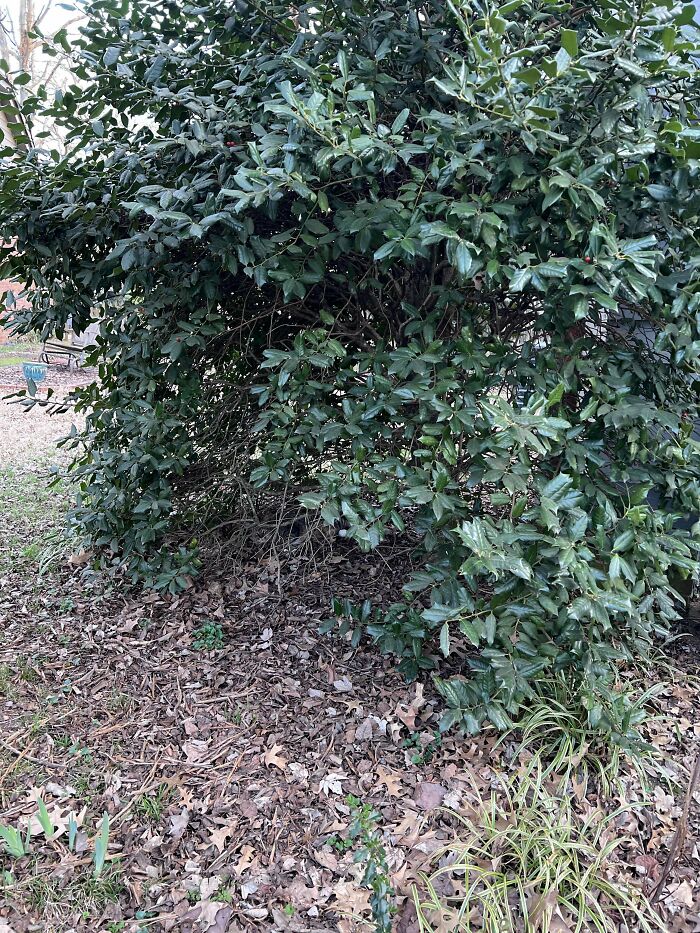 71 Amateur And Veteran Online Detectives Are Sharing Photos With Hidden Details (New Pics)