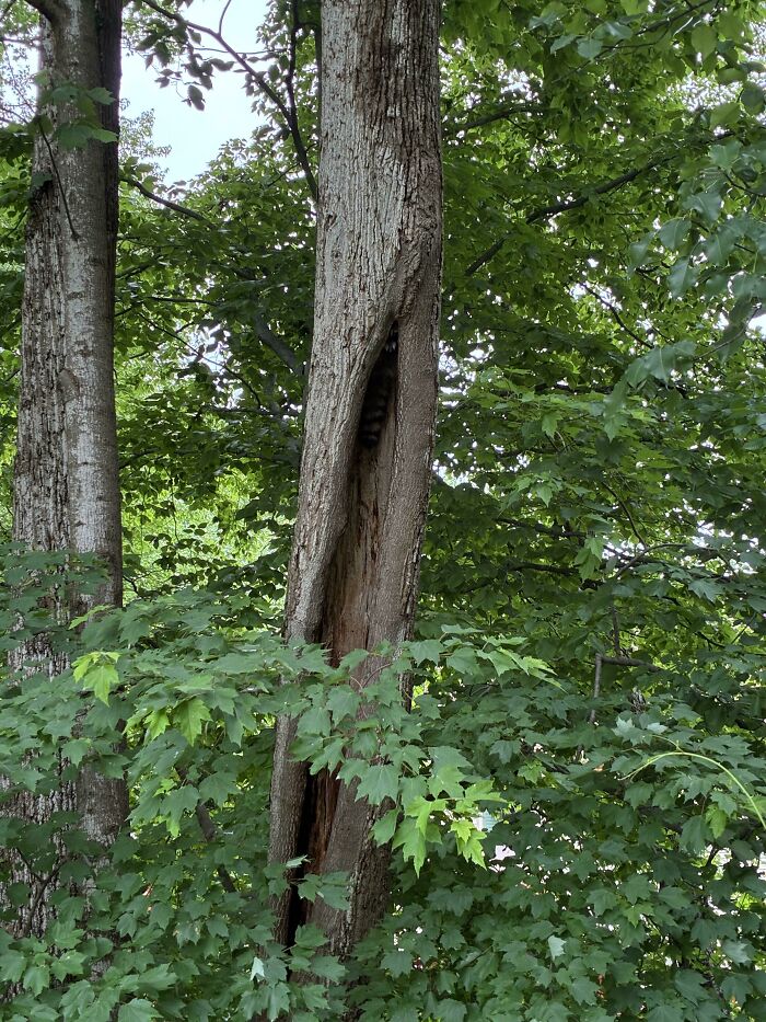 71 Amateur And Veteran Online Detectives Are Sharing Photos With Hidden Details (New Pics)