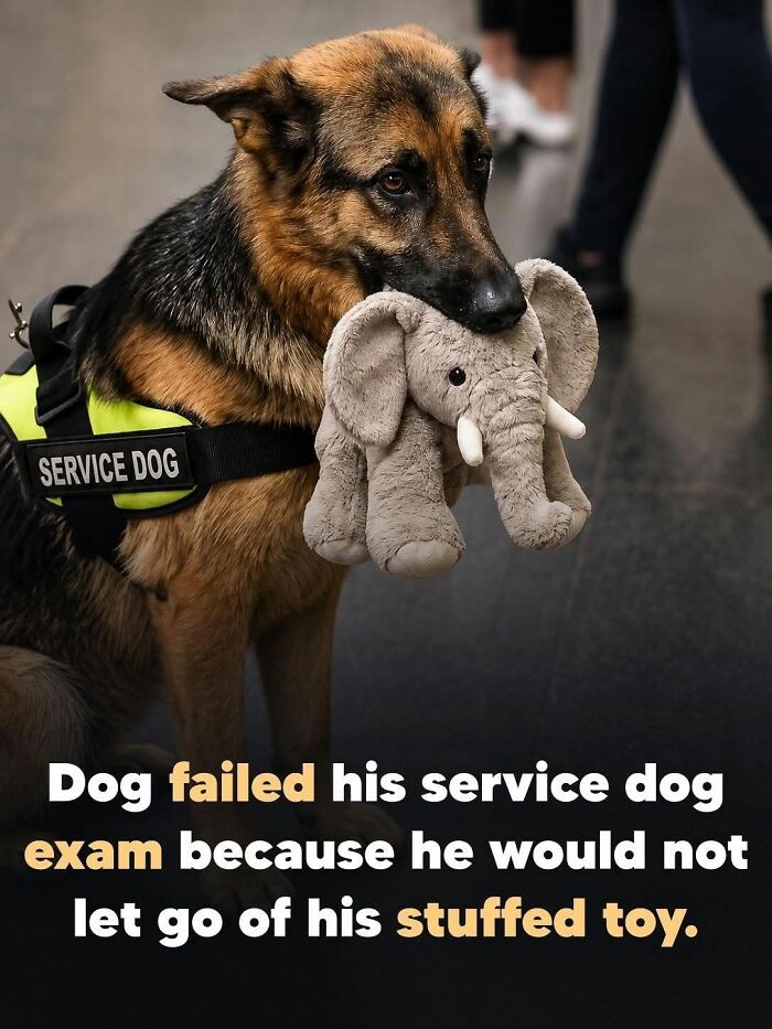26 Wholesome Animal Facts From Around The World That Restore Faith In Nature (New Pics) 26 Wholesome Animal Facts From Around The World That Restore Faith In Nature (New Pics)