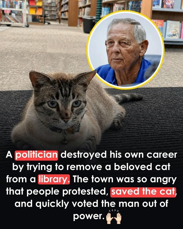 26 Wholesome Animal Facts From Around The World That Restore Faith In Nature (New Pics) 26 Wholesome Animal Facts From Around The World That Restore Faith In Nature (New Pics)