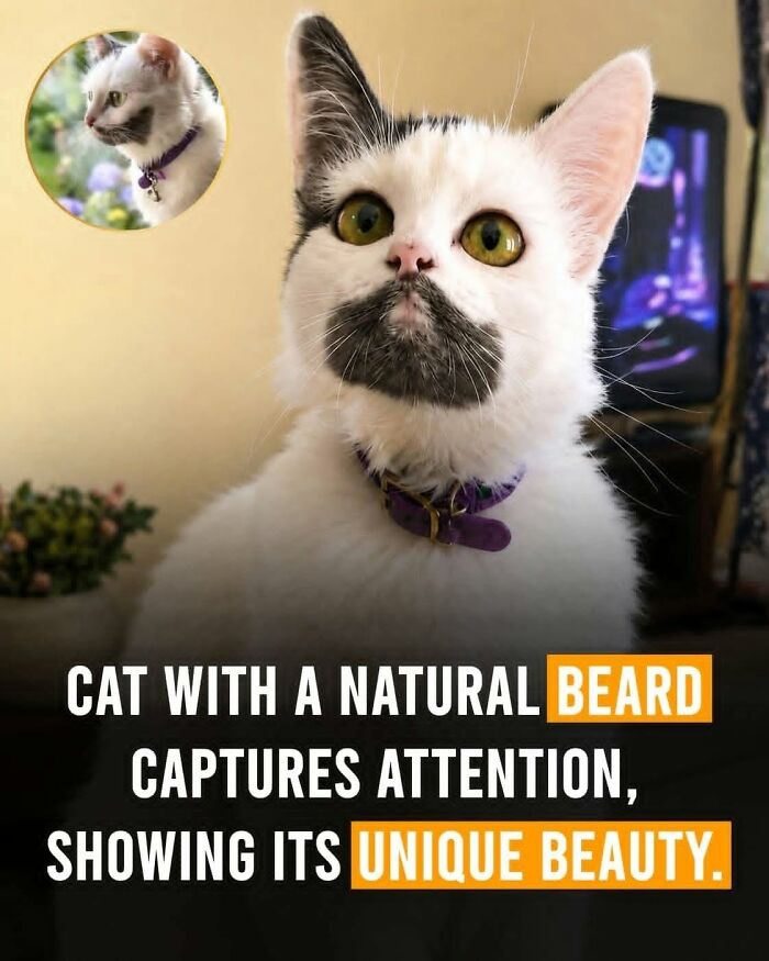 26 Wholesome Animal Facts From Around The World That Restore Faith In Nature (New Pics) 26 Wholesome Animal Facts From Around The World That Restore Faith In Nature (New Pics)