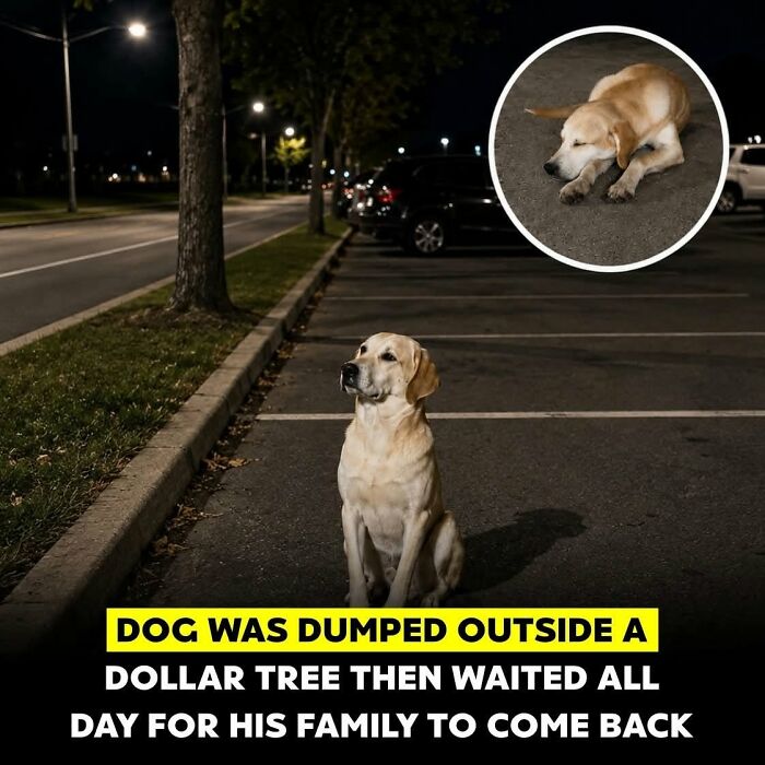 26 Wholesome Animal Facts From Around The World That Restore Faith In Nature (New Pics) 26 Wholesome Animal Facts From Around The World That Restore Faith In Nature (New Pics)