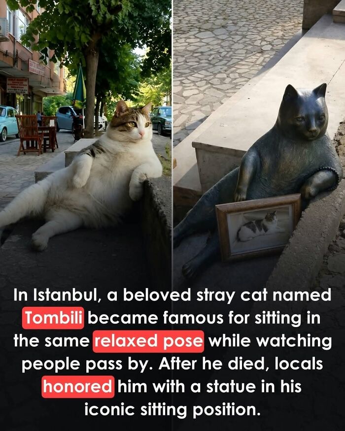 26 Wholesome Animal Facts From Around The World That Restore Faith In Nature (New Pics) 26 Wholesome Animal Facts From Around The World That Restore Faith In Nature (New Pics)