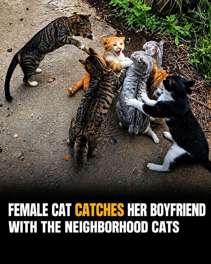 26 Wholesome Animal Facts From Around The World That Restore Faith In Nature (New Pics) 26 Wholesome Animal Facts From Around The World That Restore Faith In Nature (New Pics)