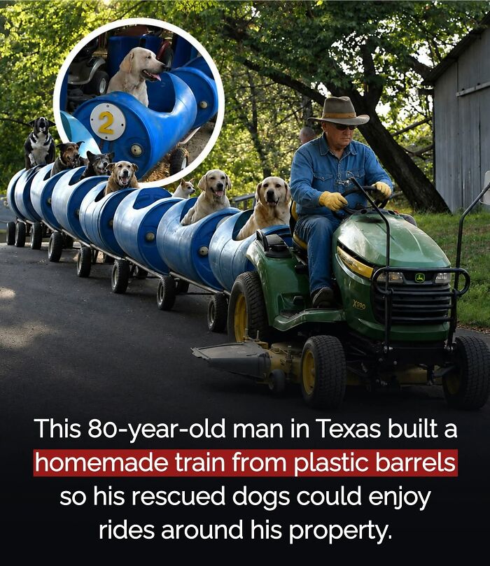26 Wholesome Animal Facts From Around The World That Restore Faith In Nature (New Pics) 26 Wholesome Animal Facts From Around The World That Restore Faith In Nature (New Pics)