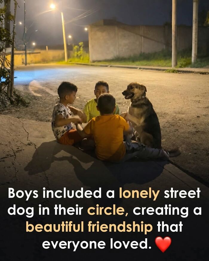 26 Wholesome Animal Facts From Around The World That Restore Faith In Nature (New Pics) 26 Wholesome Animal Facts From Around The World That Restore Faith In Nature (New Pics)