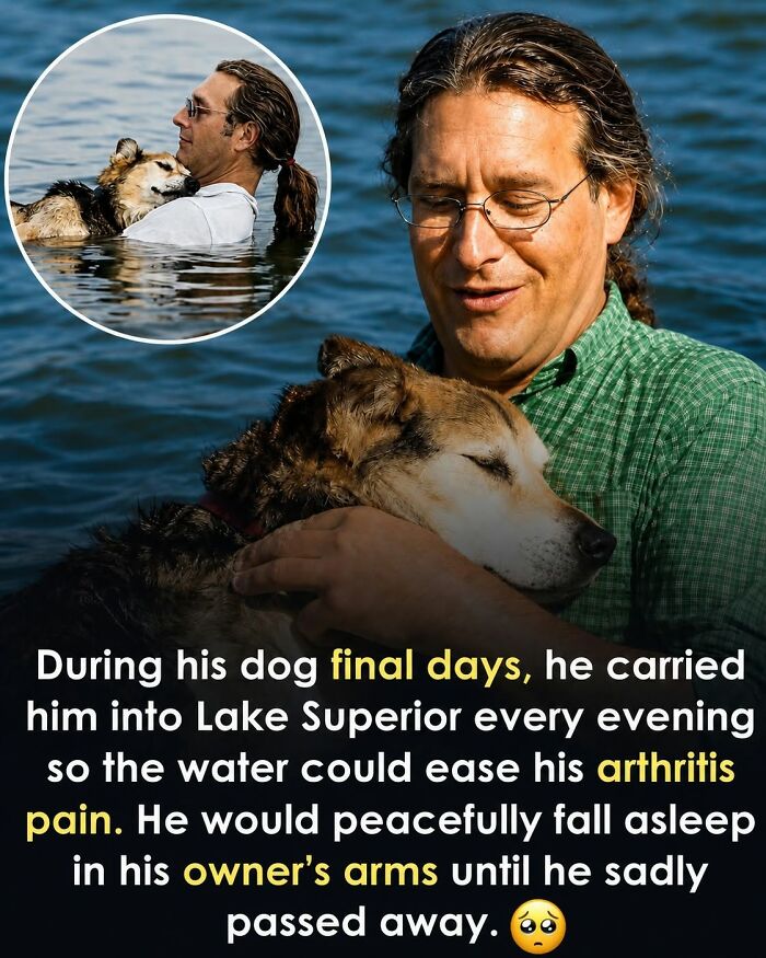 26 Wholesome Animal Facts From Around The World That Restore Faith In Nature (New Pics) 26 Wholesome Animal Facts From Around The World That Restore Faith In Nature (New Pics)