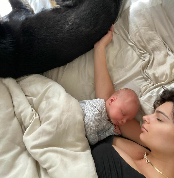 Emily Ratajkowski Faces Backlash Over Essay About Single Motherhood Accompanied By Bizarre Breastfeeding Photo Emily Ratajkowski Faces Backlash Over Essay About Single Motherhood Accompanied By Bizarre Breastfeeding Photo