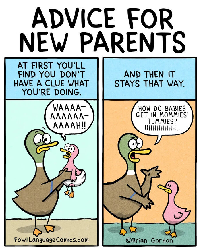 &lsquo;Fowl Language Comics&rsquo;: 30 New Witty Cartoons Depicting The Challenges And Joys Of Family Life