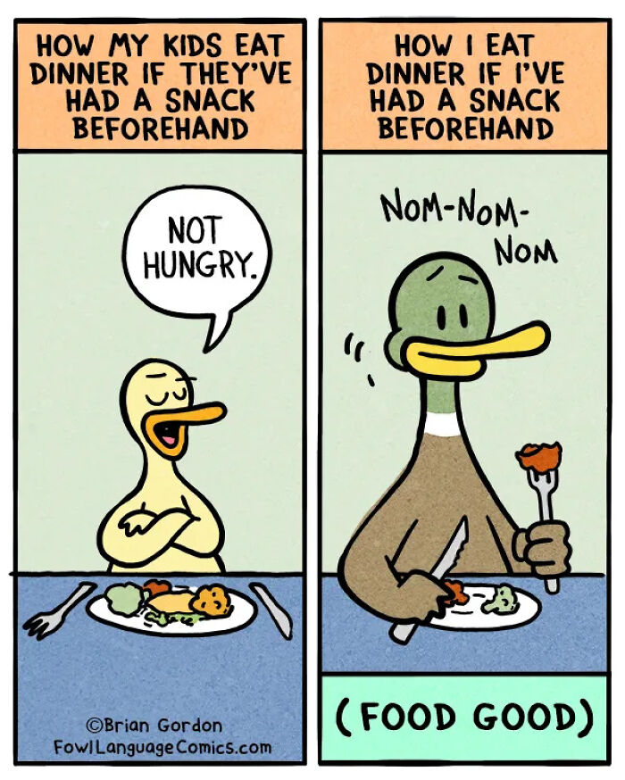 &lsquo;Fowl Language Comics&rsquo;: 30 New Witty Cartoons Depicting The Challenges And Joys Of Family Life