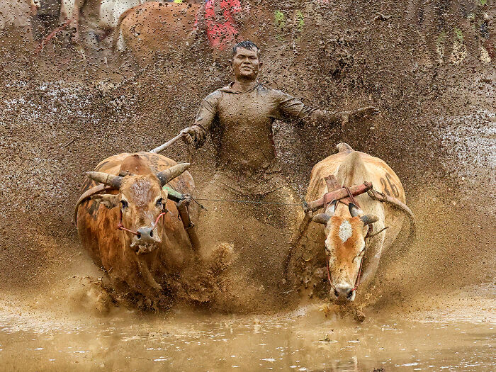 39 Travel Photos From The 2025 Chromatic Awards Capturing The World At Its Most Vibrant 39 Travel Photos From The 2025 Chromatic Awards Capturing The World At Its Most Vibrant