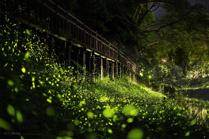 39 Travel Photos From The 2025 Chromatic Awards Capturing The World At Its Most Vibrant 39 Travel Photos From The 2025 Chromatic Awards Capturing The World At Its Most Vibrant