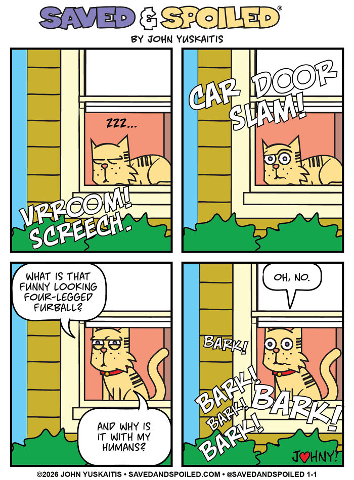 25 New Comics About My Dog And Cat, Who Couldn’t Be More Different If They Tried 25 New Comics About My Dog And Cat, Who Couldn’t Be More Different If They Tried