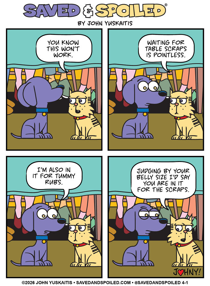 25 New Comics About My Dog And Cat, Who Couldn’t Be More Different If They Tried 25 New Comics About My Dog And Cat, Who Couldn’t Be More Different If They Tried