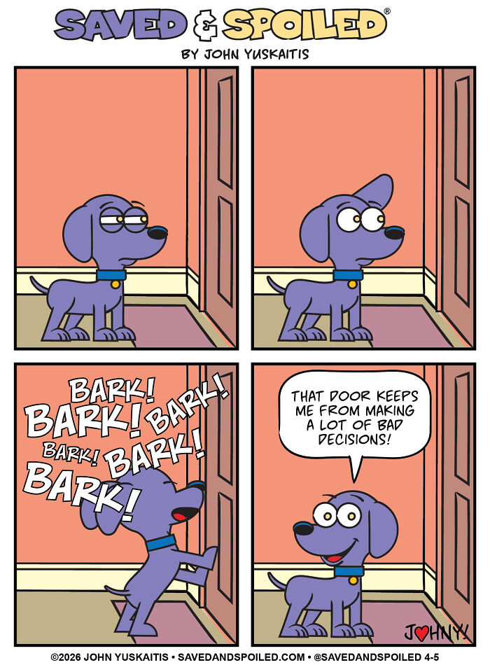 25 New Comics About My Dog And Cat, Who Couldn’t Be More Different If They Tried 25 New Comics About My Dog And Cat, Who Couldn’t Be More Different If They Tried