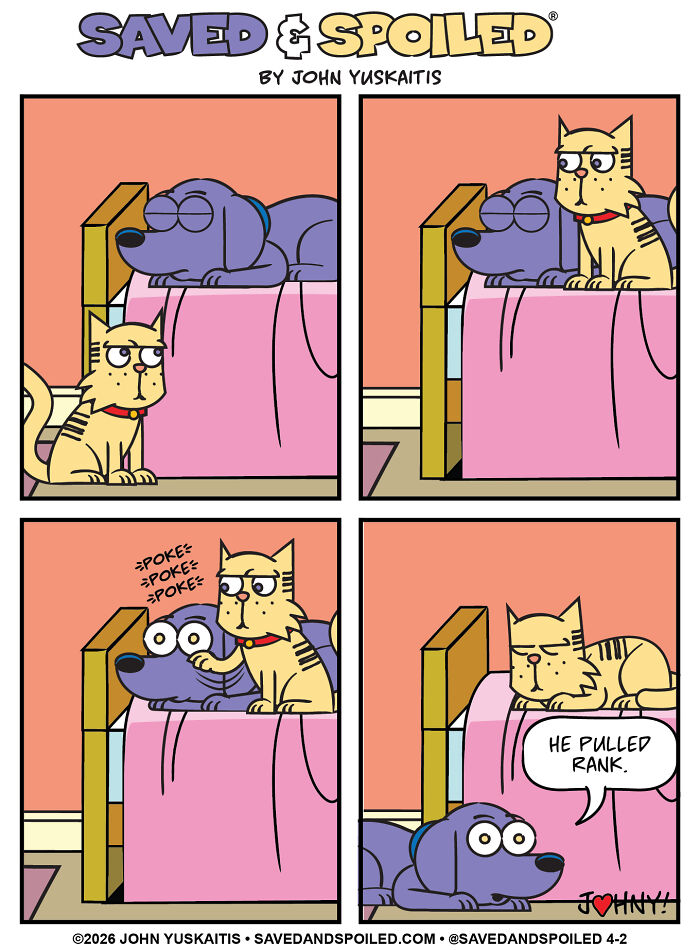 25 New Comics About My Dog And Cat, Who Couldn’t Be More Different If They Tried 25 New Comics About My Dog And Cat, Who Couldn’t Be More Different If They Tried