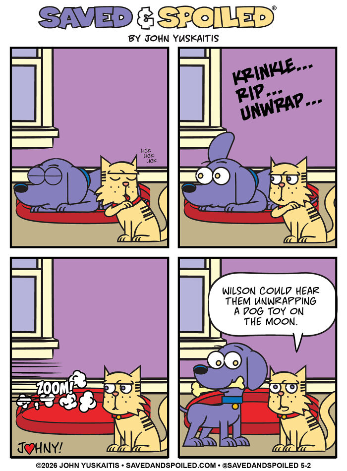 25 New Comics About My Dog And Cat, Who Couldn’t Be More Different If They Tried 25 New Comics About My Dog And Cat, Who Couldn’t Be More Different If They Tried