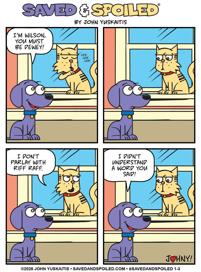 25 New Comics About My Dog And Cat, Who Couldn’t Be More Different If They Tried 25 New Comics About My Dog And Cat, Who Couldn’t Be More Different If They Tried