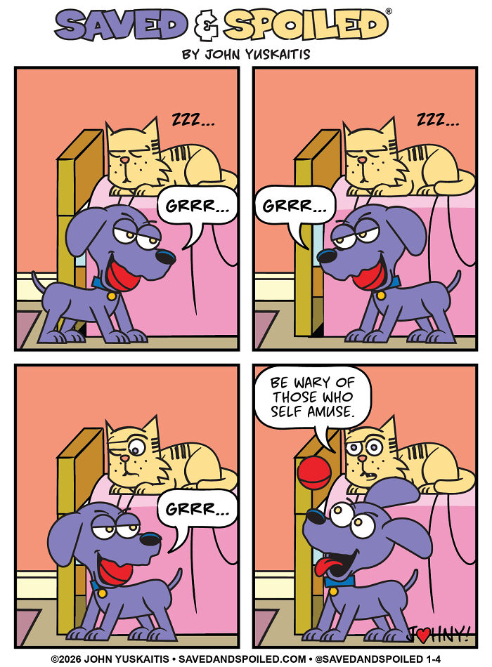 25 New Comics About My Dog And Cat, Who Couldn’t Be More Different If They Tried 25 New Comics About My Dog And Cat, Who Couldn’t Be More Different If They Tried