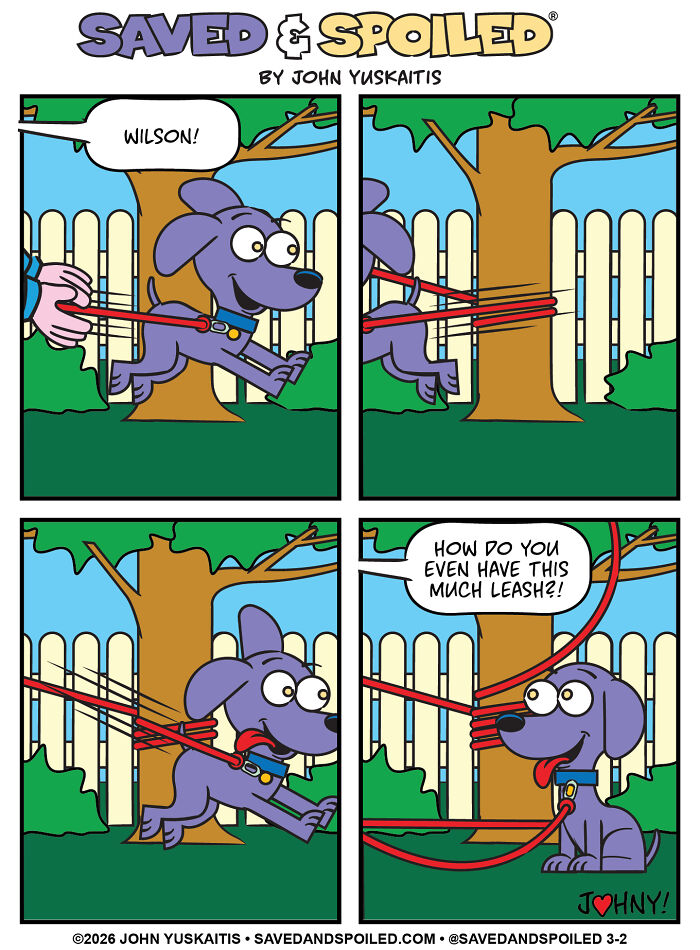 25 New Comics About My Dog And Cat, Who Couldn’t Be More Different If They Tried 25 New Comics About My Dog And Cat, Who Couldn’t Be More Different If They Tried
