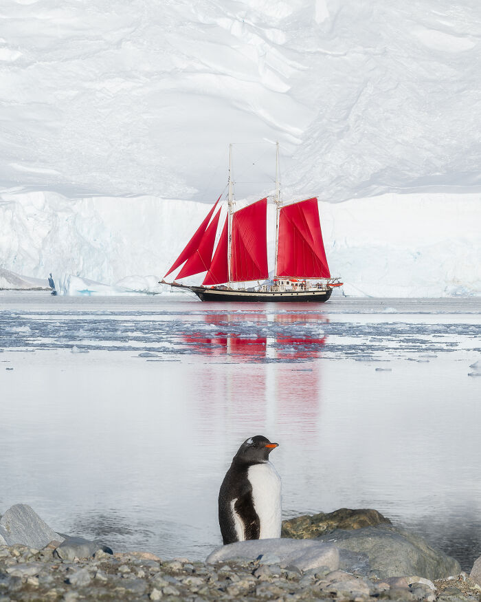This Photographer Captured Antarctica’s Frozen Landscapes From A Red-Sailed Schooner (42 Pics) This Photographer Captured Antarctica’s Frozen Landscapes From A Red-Sailed Schooner (42 Pics)
